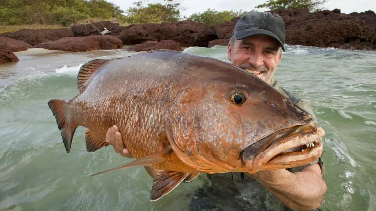 Audiences TV : Pêche XXL : Derniers géants