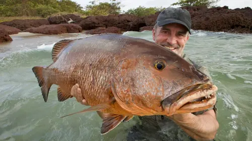 Épisodes de Pêche XXL : Derniers géants