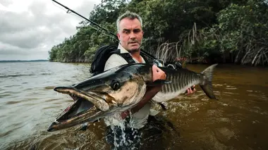 Pêche XXL Tueur de piranhas