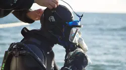 Pêcheurs d'or