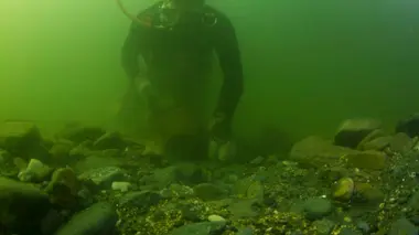 Pêcheurs d'or La guerre est déclarée