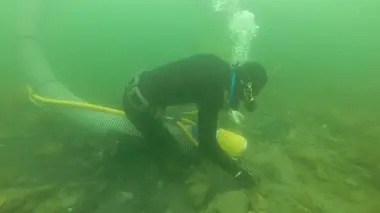 Pêcheurs d'or S04E01 Concurrence déloyale