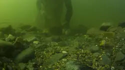 Pêcheurs d'or : Sous la glace