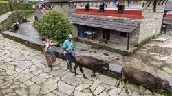 Programme ce soir sur M6