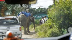 Programme ce soir sur M6