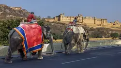 Sur M6 à 23h25 : Pékin express : L'épopée des maharadjas