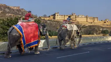 Pékin express : L'épopée des maharadjas S19E03