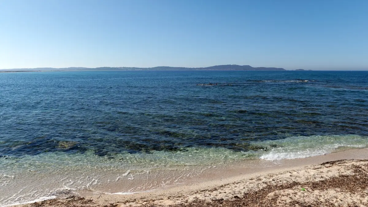 Pélagos, voyage au large de la Méditerranée