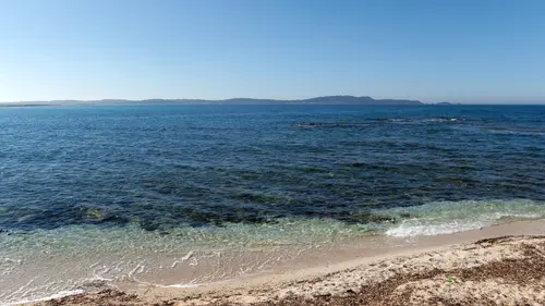 Pélagos, voyage au large de la Méditerranée