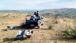 Péloponnèse, la passionaria de l'agroforesterie