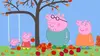 Peppa Pig S07E43 Le pommier