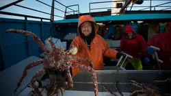 Péril en haute mer Territoire inconnu