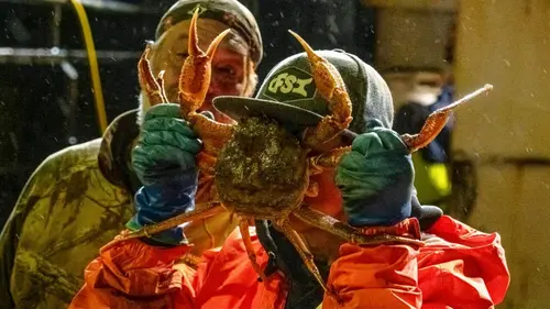 Péril en haute mer Duperie en mer