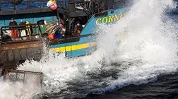 Péril en haute mer Les coulisses de la saison 10