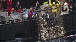 Péril en haute mer S06E10 La sombre mer