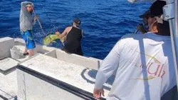 Péril en haute mer S01E01 L'héritage des Harris