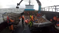 Péril en haute mer  Le pari à un million de dollars