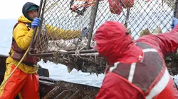 Péril en haute mer 100% de risques de blessure