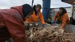 Péril en haute mer Recadrage