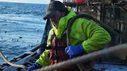 Péril en haute mer Tempête Arctique