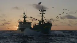 Péril en haute mer Mauvais sang