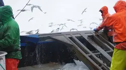 Péril en haute mer La guerre des capitaines