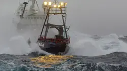 Péril en haute mer Lorsque la mer se déchaîne