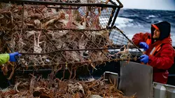 Péril en haute mer La guerre tiède