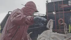 Péril en haute mer En danger