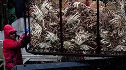 Péril en haute mer Accrochages en mer de Béring