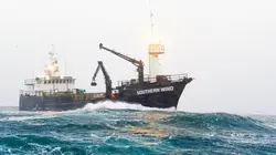 Péril en haute mer La cohue