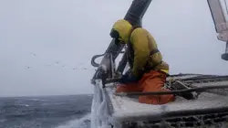 Péril en haute mer Par-dessus bord