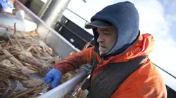 Péril en haute mer S09E11 On ne prendra rien