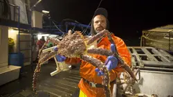 Péril en haute mer S10E08 Le blues du Cornelia Marie