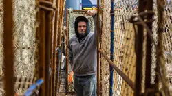 Péril en haute mer Coups durs