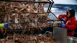 Péril en haute mer La guerre tiède