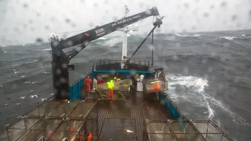 Péril en haute mer La discipline s'Impose