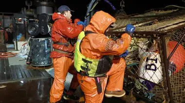 Le compas dans l'œil