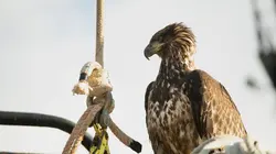Péril en haute mer La bonté ne paie pas