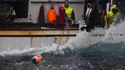 Péril en haute mer A la traque des crabes