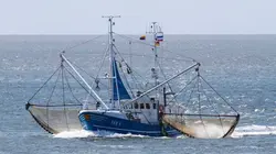 Péril en haute mer Carpe Diem