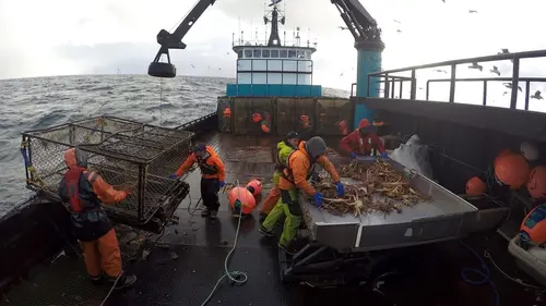 Péril en haute mer Le pari à un million de dollars