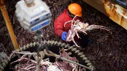 Péril en haute mer Recadrage