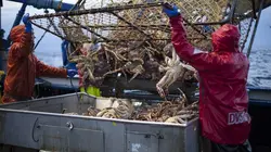 Péril en haute mer C'est moi le capitaine !