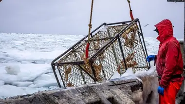 Péril en haute mer Banquise oblige