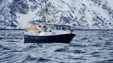 Péril en haute mer C'est moi le chef
