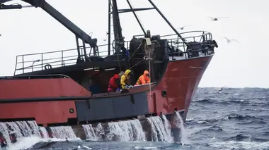 Péril en haute mer Forgée dans la fureur