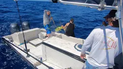 Péril en haute mer : l'héritage