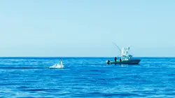 Péril en haute mer : l'héritage