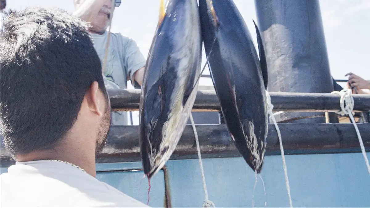 Péril en haute mer : l'héritage